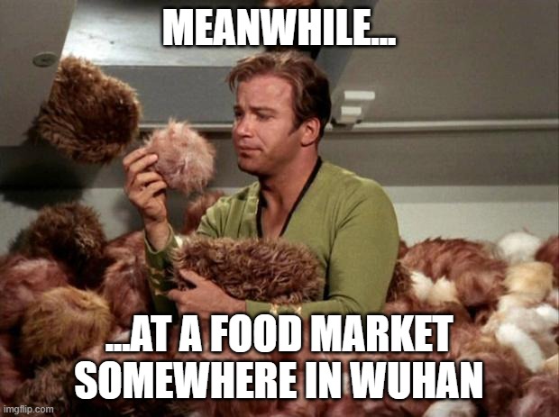 Tribbles | MEANWHILE... ...AT A FOOD MARKET SOMEWHERE IN WUHAN | image tagged in tribbles | made w/ Imgflip meme maker
