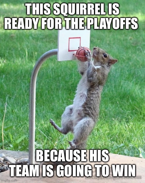 Squirrel basketball | THIS SQUIRREL IS READY FOR THE PLAYOFFS; BECAUSE HIS TEAM IS GOING TO WIN | image tagged in squirrel basketball | made w/ Imgflip meme maker