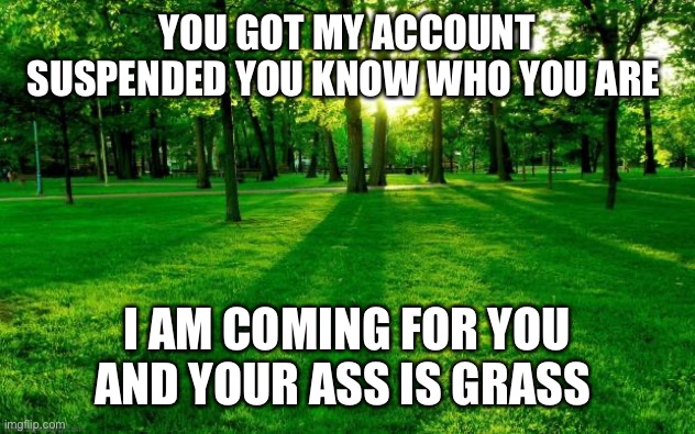 Grass and trees | YOU GOT MY ACCOUNT SUSPENDED YOU KNOW WHO YOU ARE; I AM COMING FOR YOU AND YOUR ASS IS GRASS | image tagged in grass and trees | made w/ Imgflip meme maker