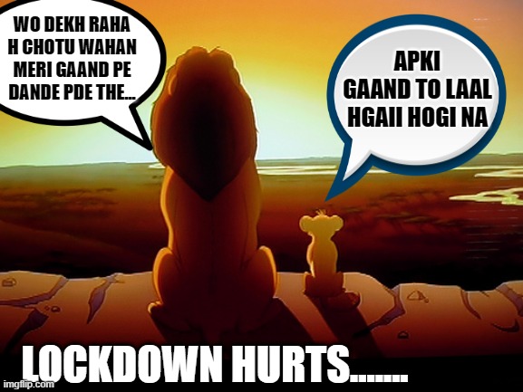 Lion King | APKI GAAND TO LAAL HGAII HOGI NA; WO DEKH RAHA H CHOTU WAHAN MERI GAAND PE DANDE PDE THE... LOCKDOWN HURTS....... | image tagged in memes,lion king | made w/ Imgflip meme maker