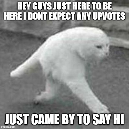 HEY GUYS JUST HERE TO BE HERE I DONT EXPECT ANY UPVOTES; JUST CAME BY TO SAY HI | image tagged in cat | made w/ Imgflip meme maker