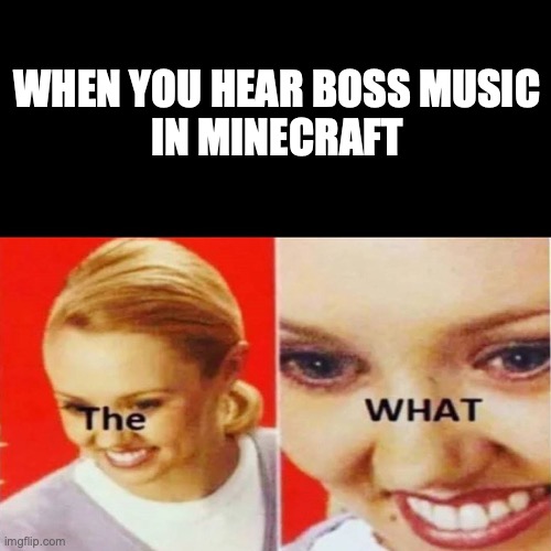 The What | WHEN YOU HEAR BOSS MUSIC
IN MINECRAFT | image tagged in the what | made w/ Imgflip meme maker