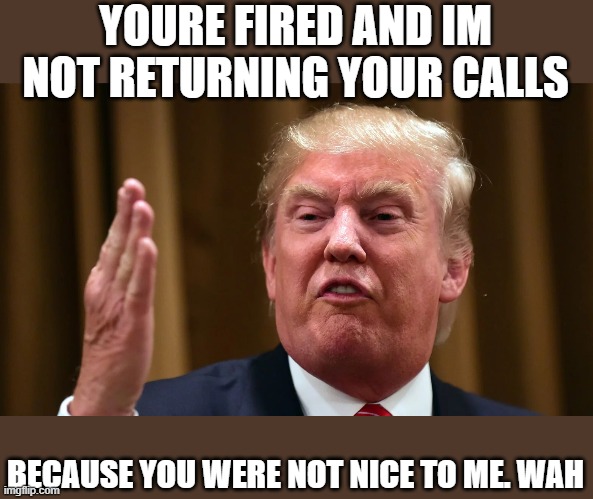 YOURE FIRED AND IM NOT RETURNING YOUR CALLS BECAUSE YOU WERE NOT NICE TO ME. WAH | made w/ Imgflip meme maker