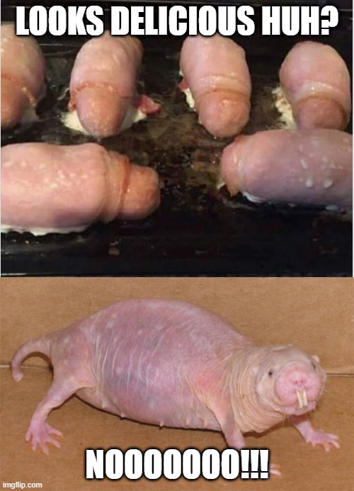 Hot Dogs in Ham? | LOOKS DELICIOUS HUH? NOOOOOOO!!! | image tagged in naked mole rat | made w/ Imgflip meme maker