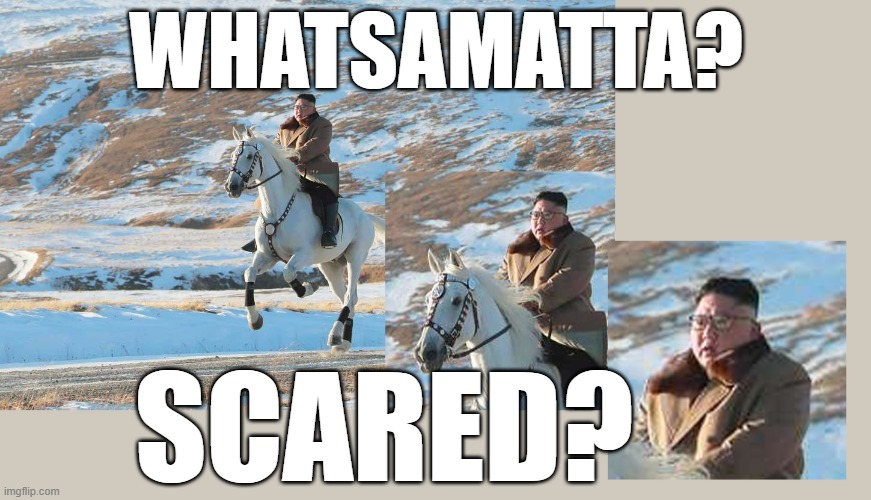Kim Jong Un on a horse. Scared to death. | WHATSAMATTA? SCARED? | image tagged in kim jong un on a white horse,scared,horse,dictator | made w/ Imgflip meme maker