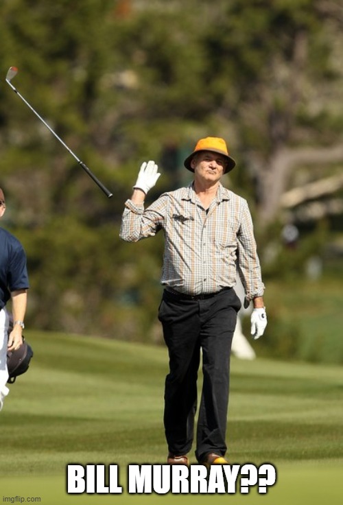 Bill Murray Golf Meme | BILL MURRAY?? | image tagged in memes,bill murray golf | made w/ Imgflip meme maker