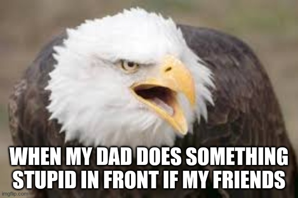dads?? | WHEN MY DAD DOES SOMETHING STUPID IN FRONT IF MY FRIENDS | image tagged in eagle,embarrassed | made w/ Imgflip meme maker