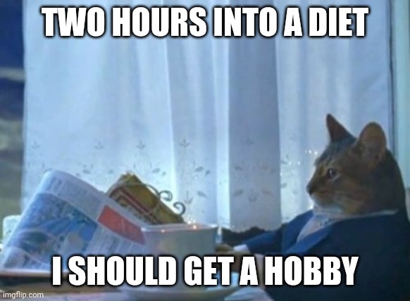 I Should Buy A Boat Cat Meme | TWO HOURS INTO A DIET; I SHOULD GET A HOBBY | image tagged in memes,i should buy a boat cat | made w/ Imgflip meme maker