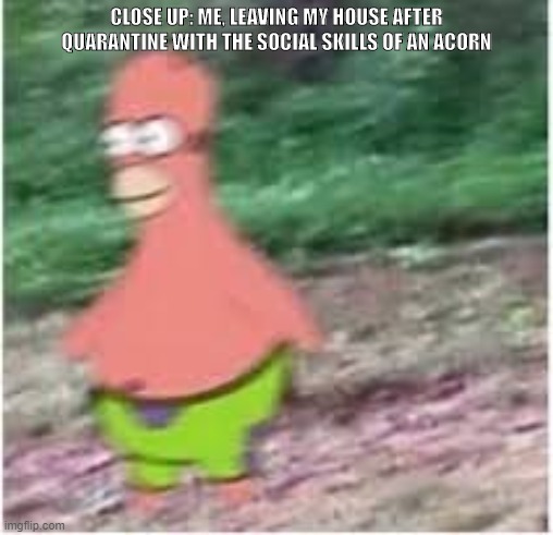 CLOSE UP: ME, LEAVING MY HOUSE AFTER QUARANTINE WITH THE SOCIAL SKILLS OF AN ACORN | image tagged in quarantine | made w/ Imgflip meme maker