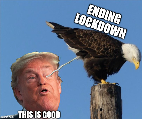 Liberty | ENDING LOCKDOWN THIS IS GOOD | image tagged in liberty | made w/ Imgflip meme maker