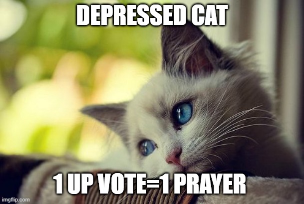 First World Problems Cat | DEPRESSED CAT; 1 UP VOTE=1 PRAYER | image tagged in memes,first world problems cat | made w/ Imgflip meme maker