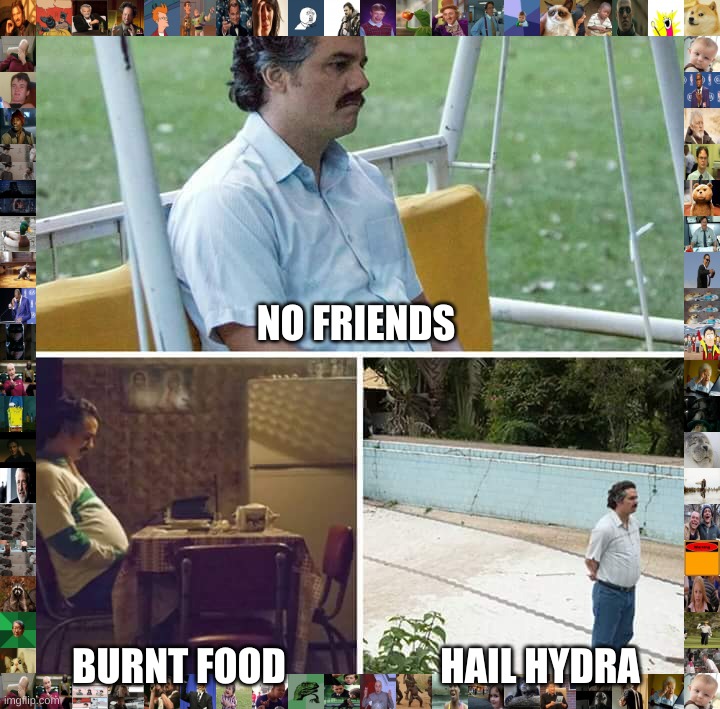 Sad Pablo Escobar Meme | NO FRIENDS; BURNT FOOD; HAIL HYDRA | image tagged in memes,sad pablo escobar | made w/ Imgflip meme maker