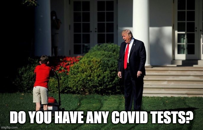 Trump Lawn Mower | DO YOU HAVE ANY COVID TESTS? | image tagged in trump lawn mower | made w/ Imgflip meme maker
