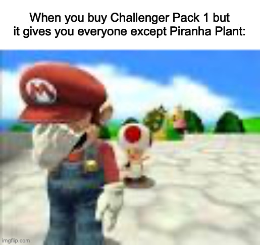 Nintendo? care to explain that one? | When you buy Challenger Pack 1 but it gives you everyone except Piranha Plant: | image tagged in mario facepalm | made w/ Imgflip meme maker