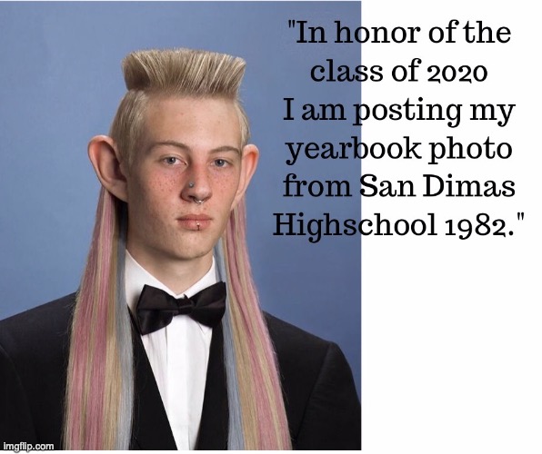 In honor of the class of 2020 | image tagged in bill and ted,mullet,graduation,2020,hahaha | made w/ Imgflip meme maker