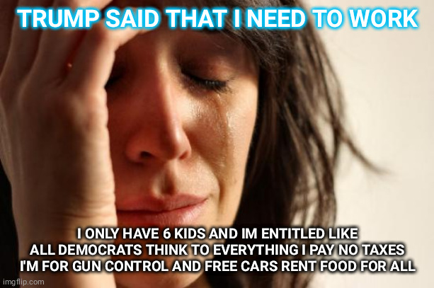 First World Problems | TRUMP SAID THAT I NEED TO WORK; I ONLY HAVE 6 KIDS AND IM ENTITLED LIKE ALL DEMOCRATS THINK TO EVERYTHING I PAY NO TAXES I'M FOR GUN CONTROL AND FREE CARS RENT FOOD FOR ALL | image tagged in memes,first world problems | made w/ Imgflip meme maker