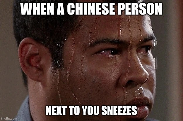 CONCERN | WHEN A CHINESE PERSON; NEXT TO YOU SNEEZES | image tagged in coronavirus | made w/ Imgflip meme maker