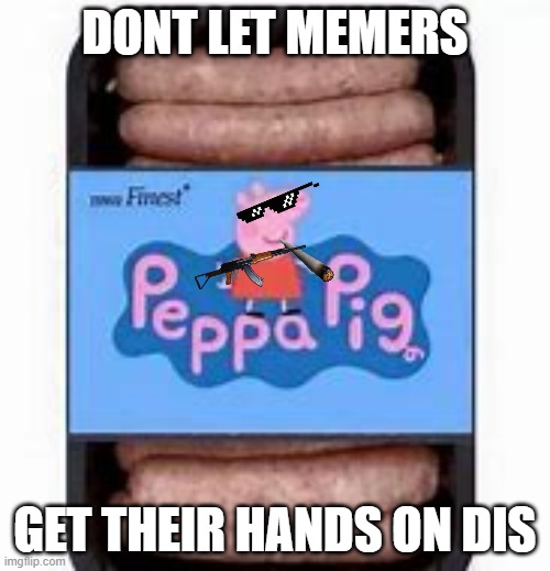 finally someone did it | DONT LET MEMERS; GET THEIR HANDS ON DIS | image tagged in finally someone did it | made w/ Imgflip meme maker