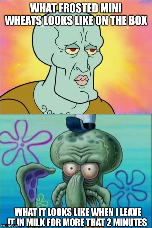 Squidward | WHAT FROSTED MINI WHEATS LOOKS LIKE ON THE BOX; WHAT IT LOOKS LIKE WHEN I LEAVE IT IN MILK FOR MORE THAT 2 MINUTES | image tagged in memes,squidward | made w/ Imgflip meme maker