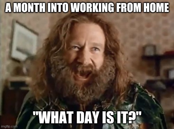 What Year Is It Meme | A MONTH INTO WORKING FROM HOME; "WHAT DAY IS IT?" | image tagged in memes,what year is it | made w/ Imgflip meme maker