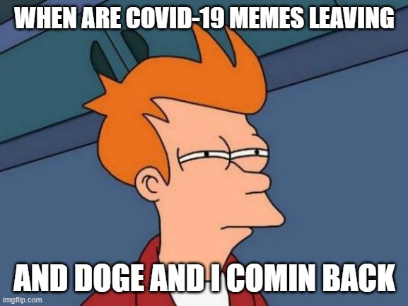 Futurama Fry | WHEN ARE COVID-19 MEMES LEAVING; AND DOGE AND I COMIN BACK | image tagged in memes,futurama fry | made w/ Imgflip meme maker