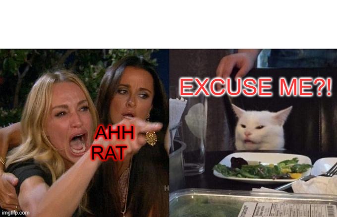 Woman Yelling At Cat | EXCUSE ME?! AHH RAT | image tagged in memes,woman yelling at cat | made w/ Imgflip meme maker