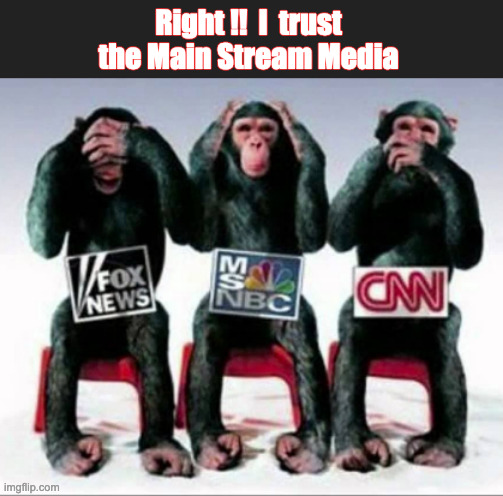 Main Stream Media | Right !!  I  trust the Main Stream Media | image tagged in mainstream media,fake news,media lies,biased media,breaking news | made w/ Imgflip meme maker