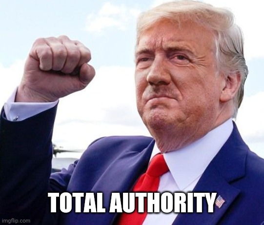It has to be | TOTAL AUTHORITY | image tagged in hitler trump | made w/ Imgflip meme maker