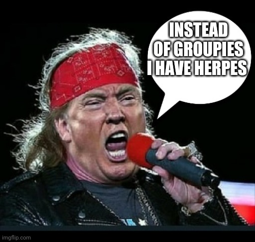 Trump Rocks | INSTEAD OF GROUPIES I HAVE HERPES | image tagged in trump rocks | made w/ Imgflip meme maker