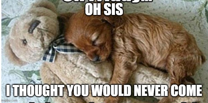 OH SIS; I THOUGHT YOU WOULD NEVER COME | image tagged in memes | made w/ Imgflip meme maker