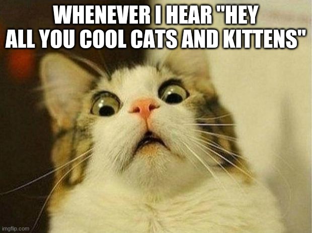 Scared Cat Meme | WHENEVER I HEAR "HEY ALL YOU COOL CATS AND KITTENS" | image tagged in memes,scared cat | made w/ Imgflip meme maker