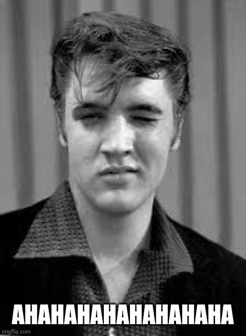 elvis | AHAHAHAHAHAHAHAHA | image tagged in elvis | made w/ Imgflip meme maker