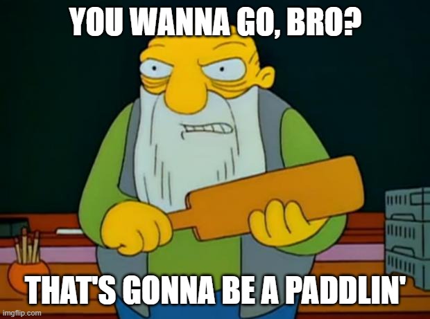 Thats a paddlin' | YOU WANNA GO, BRO? THAT'S GONNA BE A PADDLIN' | image tagged in thats a paddlin' | made w/ Imgflip meme maker