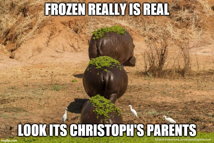 FROZEN REALLY IS REAL; LOOK ITS CHRISTOPH'S PARENTS | image tagged in frozen | made w/ Imgflip meme maker