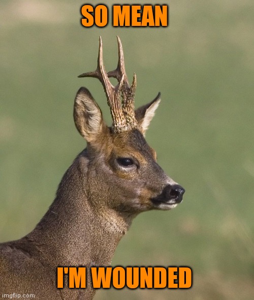 Sad deer | SO MEAN I'M WOUNDED | image tagged in sad deer | made w/ Imgflip meme maker