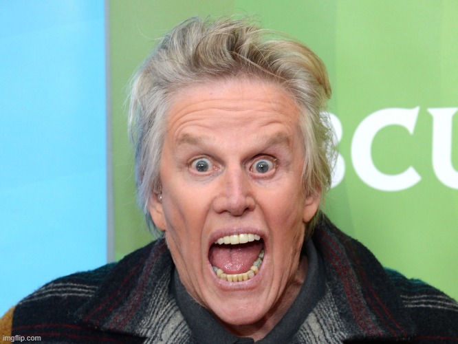 crazy gary busey | image tagged in crazy gary busey | made w/ Imgflip meme maker