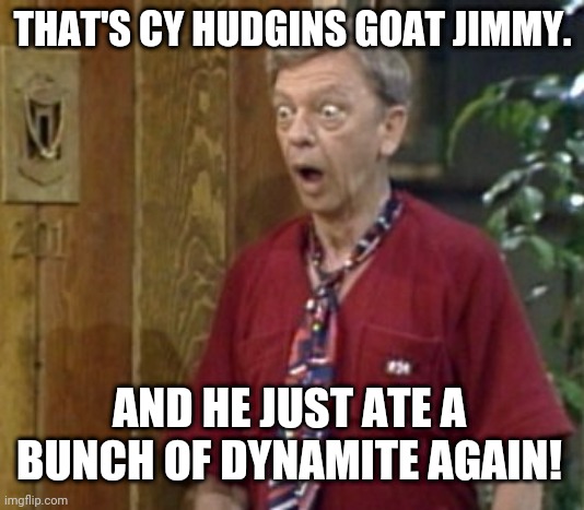 Don Knotts shocked | THAT'S CY HUDGINS GOAT JIMMY. AND HE JUST ATE A BUNCH OF DYNAMITE AGAIN! | image tagged in don knotts shocked | made w/ Imgflip meme maker
