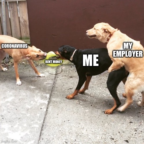 One Sided Dog Fight | MY EMPLOYER; ME; CORONAVIRUS; RENT MONEY | image tagged in one sided dog fight | made w/ Imgflip meme maker