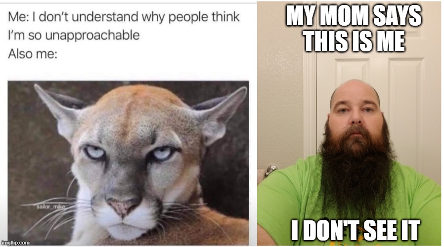 I don't see it. | MY MOM SAYS THIS IS ME; I DON'T SEE IT | image tagged in funny,angry,memes | made w/ Imgflip meme maker
