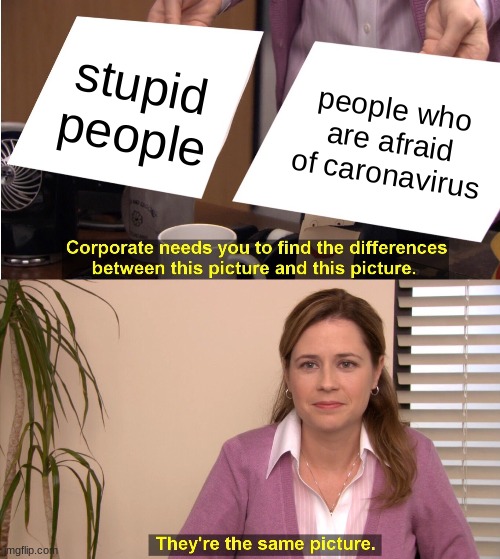 STOP BEING SCARED OF THE CARONAVIRUS PEOPLE!!! | stupid people; people who are afraid of caronavirus | image tagged in memes,they're the same picture,caronavirus,covid-19 | made w/ Imgflip meme maker