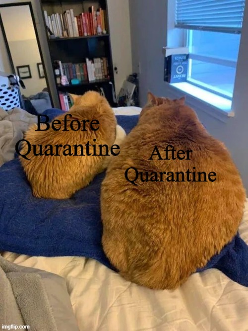 Before and After Quarantine Chonker Bois | After Quarantine; Before Quarantine | made w/ Imgflip meme maker