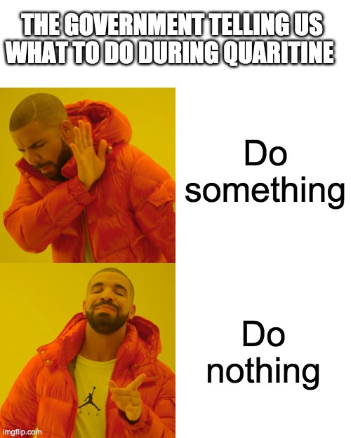 Drake Hotline Bling Meme | THE GOVERNMENT TELLING US WHAT TO DO DURING QUARITINE; Do something; Do nothing | image tagged in memes,drake hotline bling | made w/ Imgflip meme maker