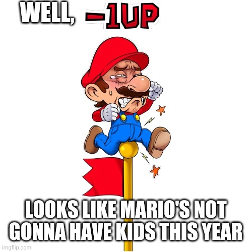 What really Joanne's when Mario his the pole | WELL, LOOKS LIKE MARIO'S NOT GONNA HAVE KIDS THIS YEAR | image tagged in mario | made w/ Imgflip meme maker