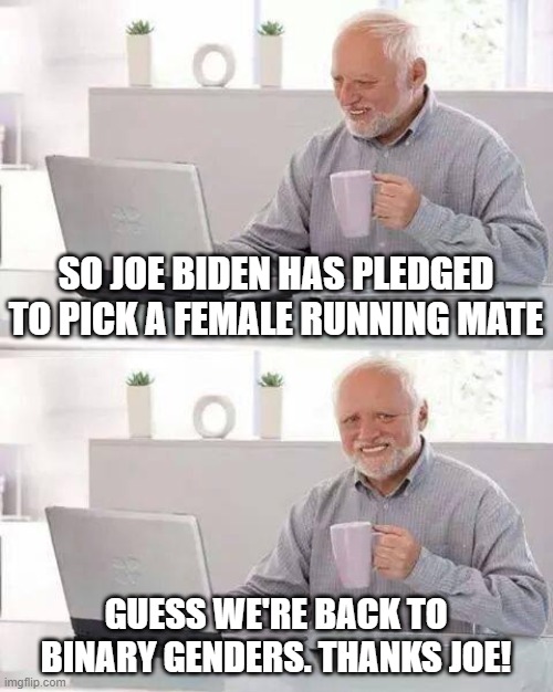 Say it ain't so, Joe! | SO JOE BIDEN HAS PLEDGED TO PICK A FEMALE RUNNING MATE; GUESS WE'RE BACK TO BINARY GENDERS. THANKS JOE! | image tagged in memes,hide the pain harold,liberal logic,gender confusion,did you just assume my gender | made w/ Imgflip meme maker
