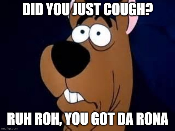 Scooby Doo Surprised | DID YOU JUST COUGH? RUH ROH, YOU GOT DA RONA | image tagged in scooby doo surprised | made w/ Imgflip meme maker