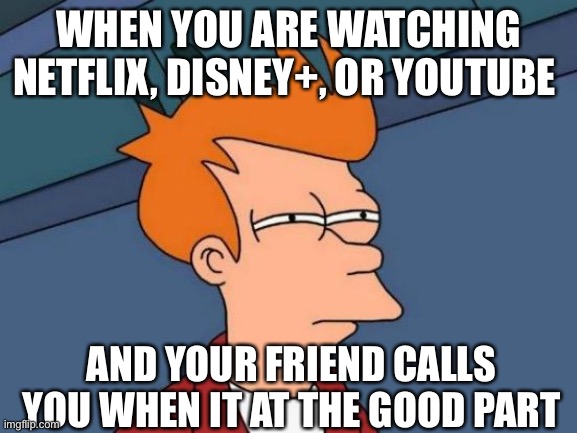 Futurama Fry | WHEN YOU ARE WATCHING NETFLIX, DISNEY+, OR YOUTUBE; AND YOUR FRIEND CALLS YOU WHEN IT AT THE GOOD PART | image tagged in memes,futurama fry | made w/ Imgflip meme maker