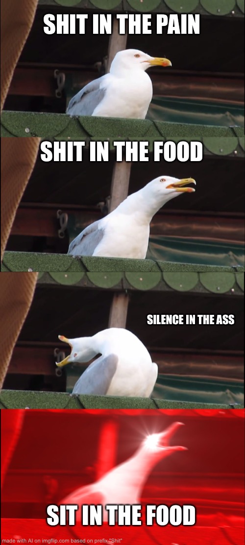 Shit The  seagull is back | SHIT IN THE PAIN; SHIT IN THE FOOD; SILENCE IN THE ASS; SIT IN THE FOOD | image tagged in memes,funny,shit,random,pain,pain | made w/ Imgflip meme maker