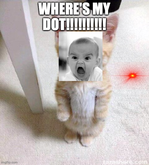 Cute Cat | WHERE'S MY DOT!!!!!!!!!! | image tagged in memes,cute cat | made w/ Imgflip meme maker