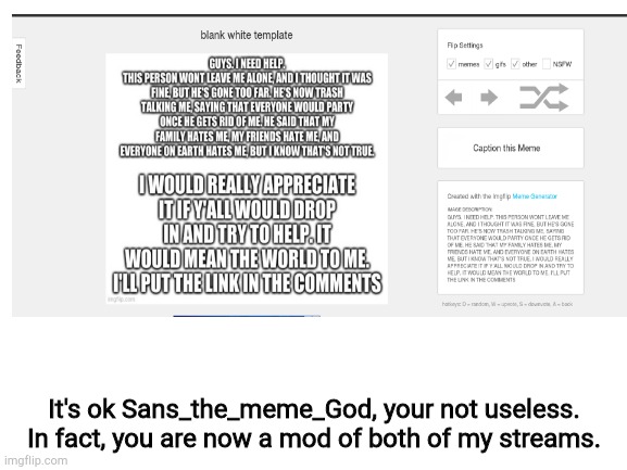 It's ok Sans_the_meme_God, your not useless. In fact, you are now a mod of both of my streams. | image tagged in sans,operationsanssupport | made w/ Imgflip meme maker