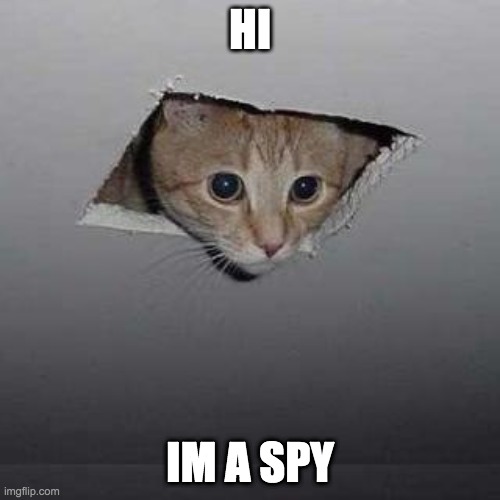 Ceiling Cat Meme | HI; IM A SPY | image tagged in memes,ceiling cat | made w/ Imgflip meme maker